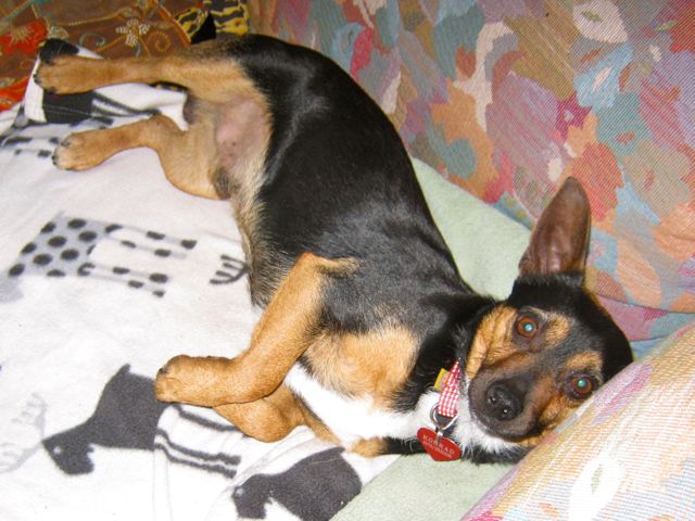 Bild 10.jpg