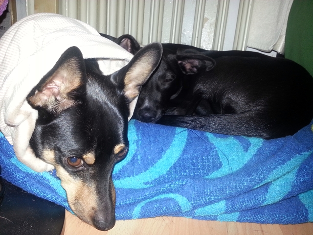 20130223_232027.jpg