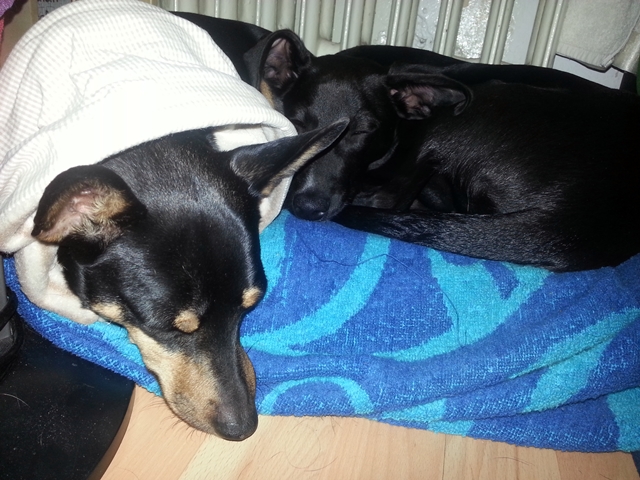 20130223_232056.jpg