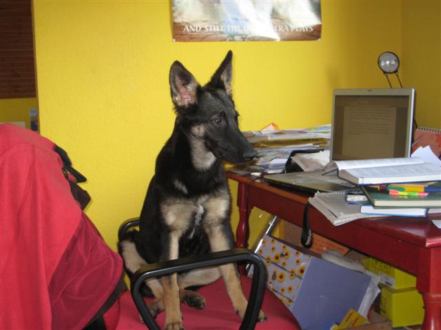 IMG_4029 (Small).JPG