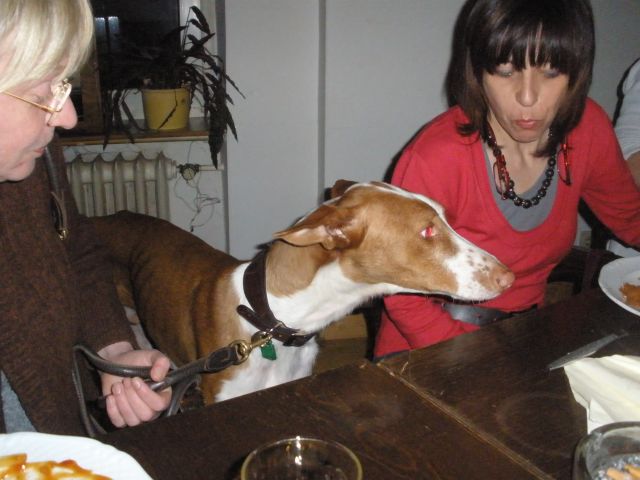 Faro beim Stammtisch1.jpg