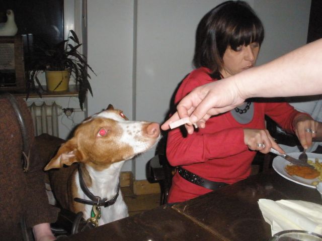 Faro beim Stammtisch2.jpg