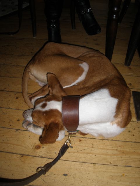 Faro beim Stammtisch3.jpg