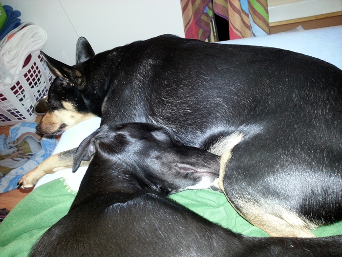 20130226_203934.jpg