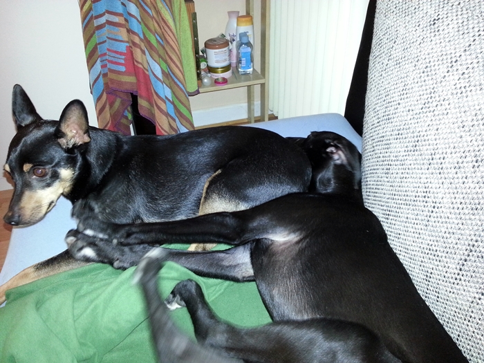 20130226_211502.jpg