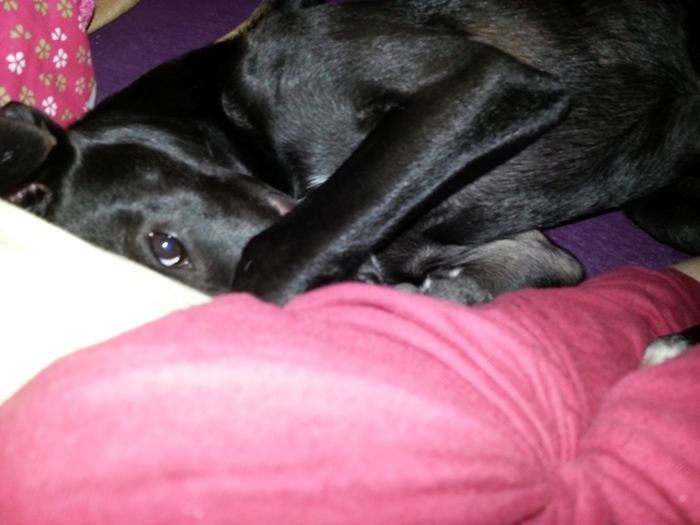 20130227_081741.jpg