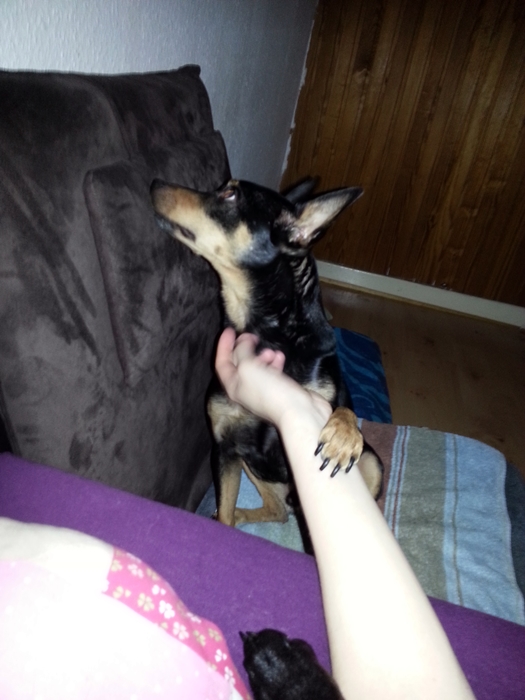 20130227_081500.jpg