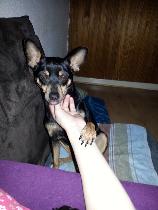 20130227_081507.jpg