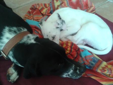 2013-02-28 12.08.34.jpg