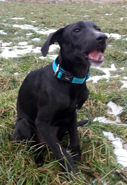20130228_164359.jpg