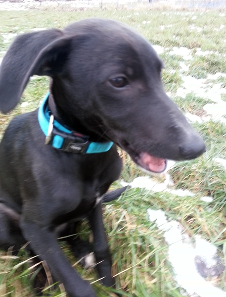 20130228_164408.jpg