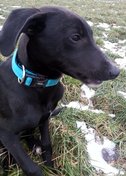 20130228_164415.jpg
