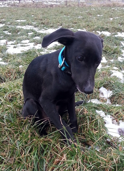 20130228_164356.jpg