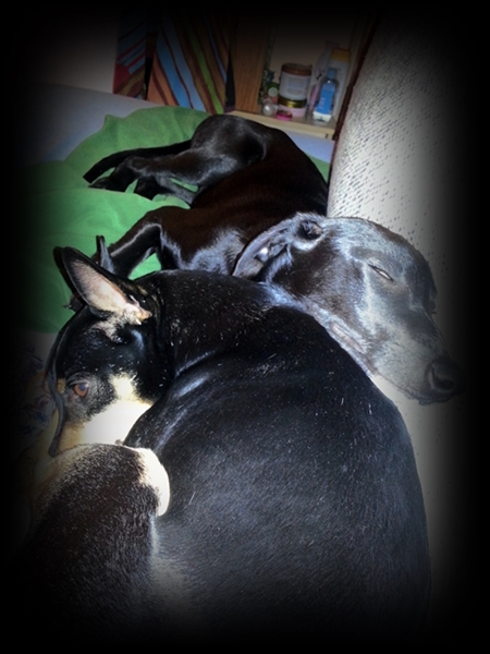 20130228_215114.jpg