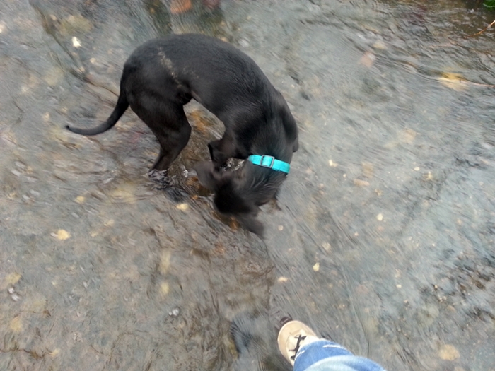 20130302_090344.jpg