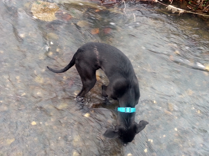 20130302_090348.jpg