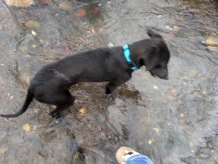 20130302_090434.jpg