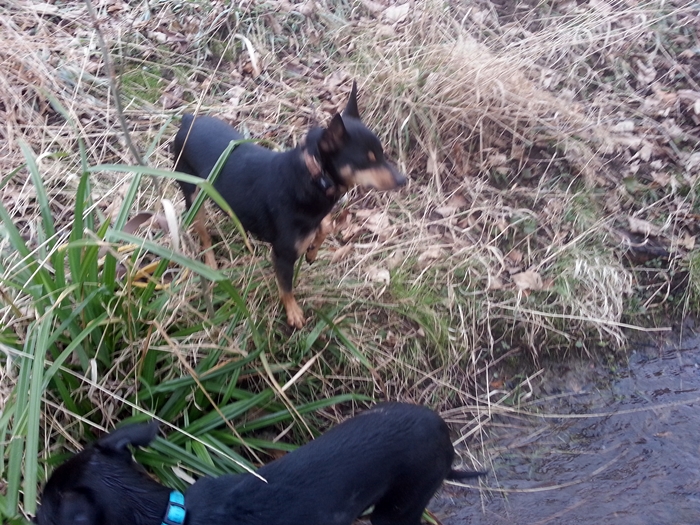20130302_090440.jpg