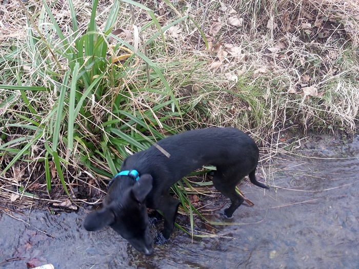 20130302_090444.jpg