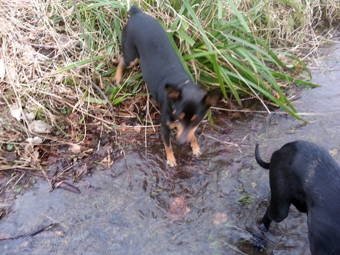 20130302_090536.jpg