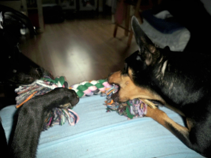 101_3733.JPG