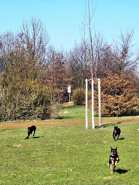 101_3810.JPG