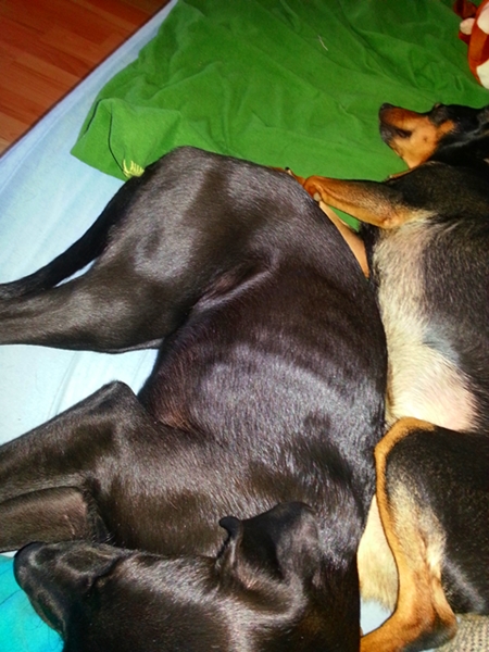 20130306_151649.jpg