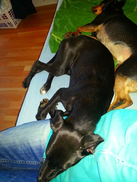 20130306_152019.jpg