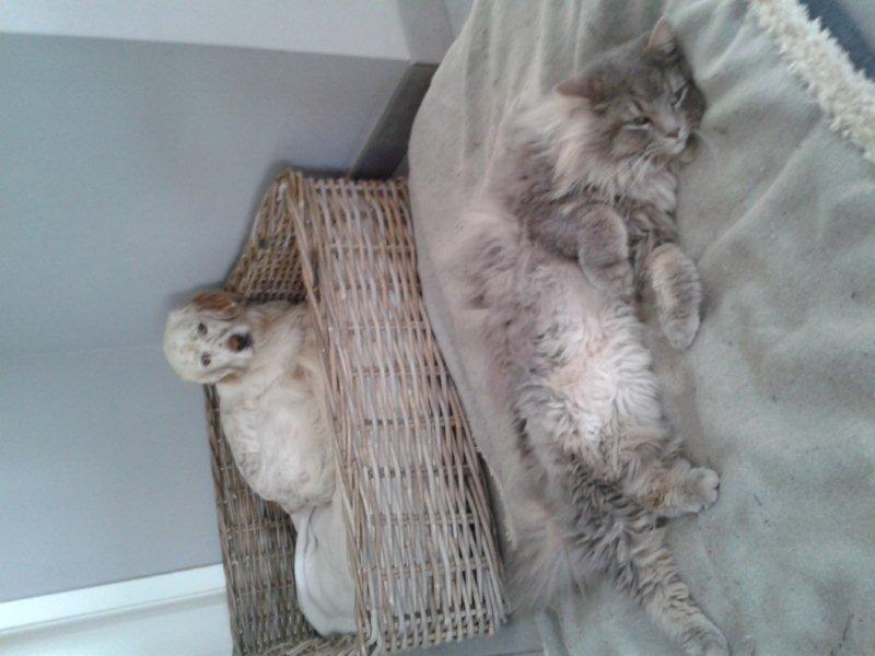 2013-03-07 09.44.50.jpg