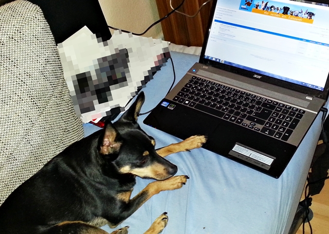 20130307_122316.jpg