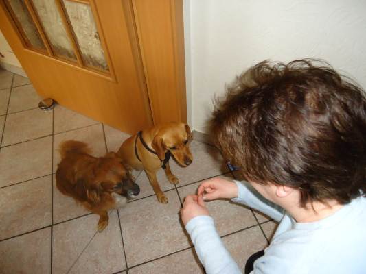 Canela 059.JPG
