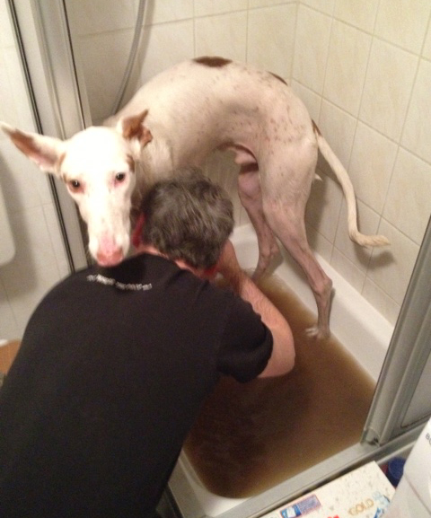 Dusche.jpeg