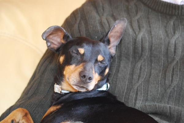 DSC_0059.jpg