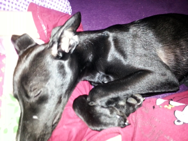 20130310_071825.jpg