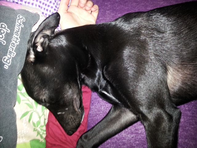 20130310_072315.jpg