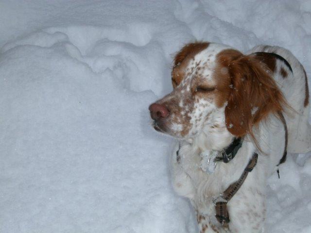 Schnee muss immer in die Augens schneien - ich mach die mal lieber zu.jpg
