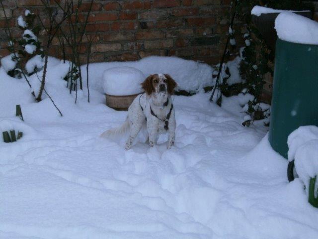 Soviel Schnee.jpg