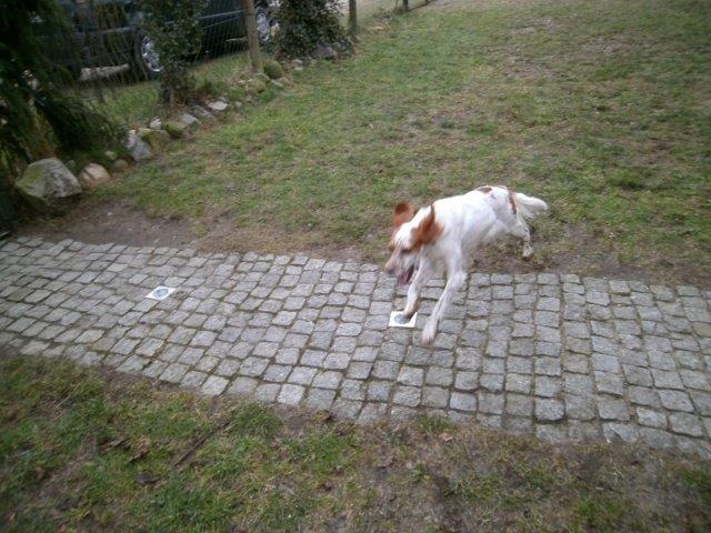 PICT0009.jpg