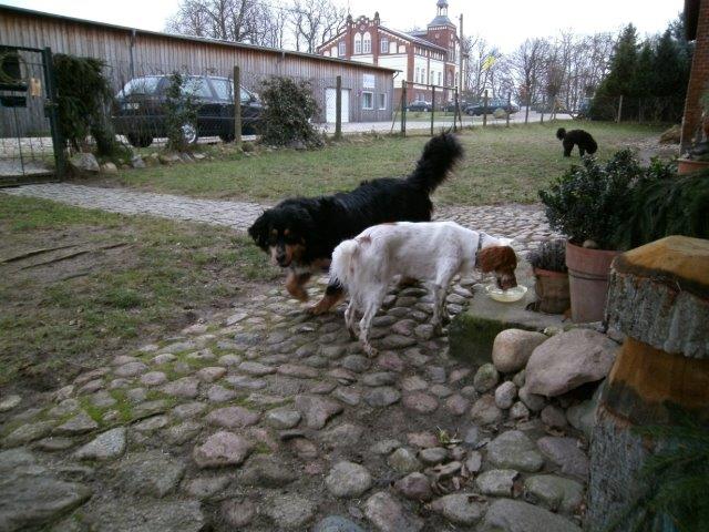 PICT0014.jpg