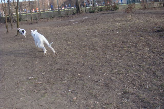 DSC03524 (640x427).jpg