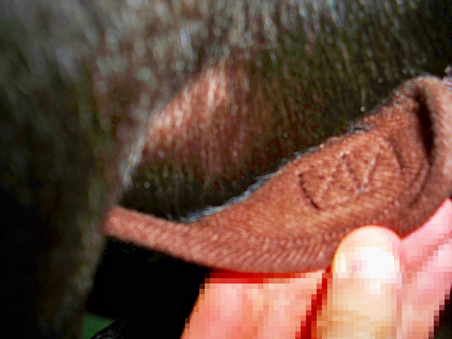 101_4011.JPG