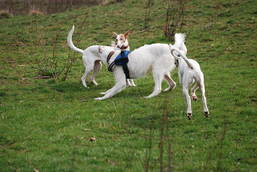 DSC_0046.jpg