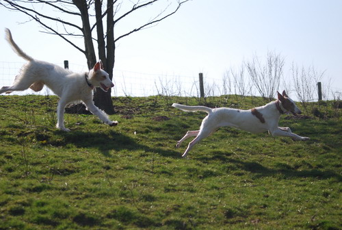 DSC_0011.jpg