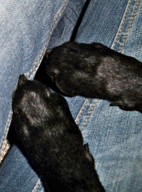101_4045.JPG