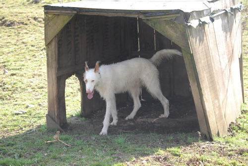 DSC_0012.jpg