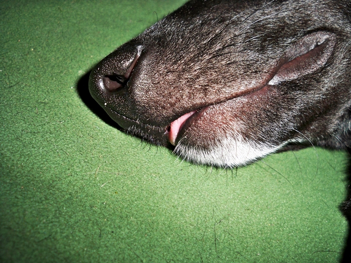 101_4166.JPG