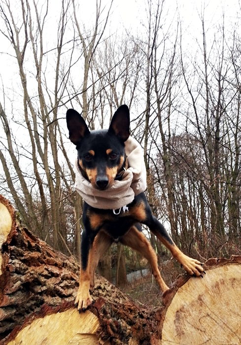 20130319_091907.jpg