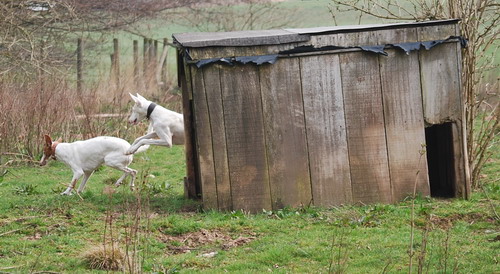 DSC_0045.jpg