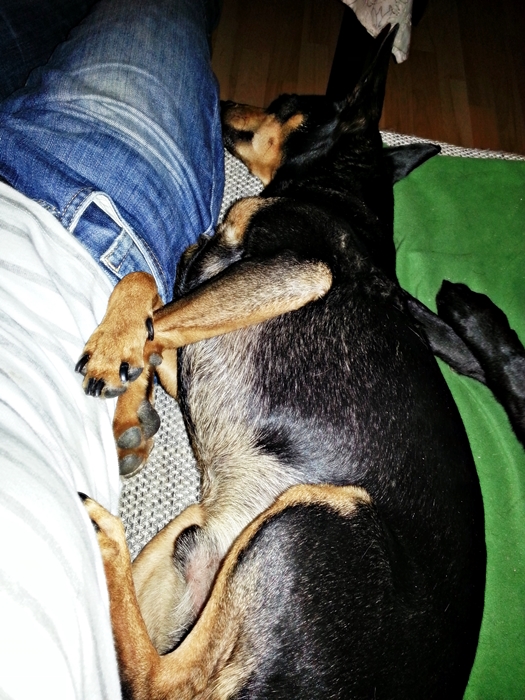20130320_201105.jpg