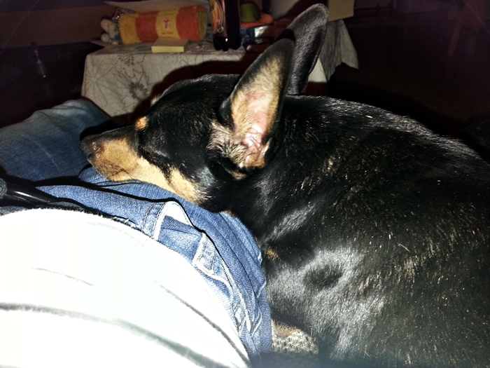20130320_202045.jpg